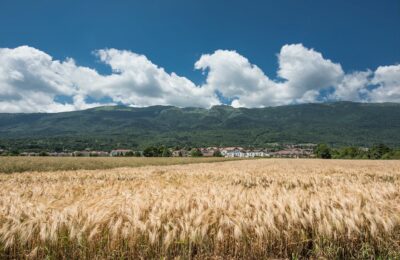 Révision Générale du Plan Local d’Urbanisme Intercommunal – Réunion publique